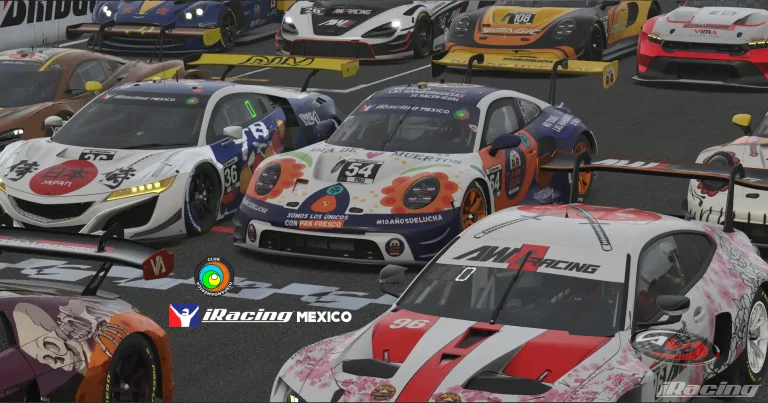 Fotos PISTA SUZUKA 500 KM 10