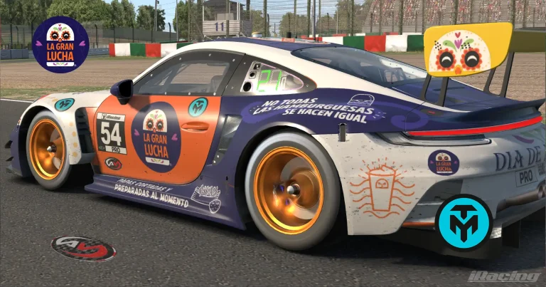 Fotos PISTA SUZUKA 500 KM 4